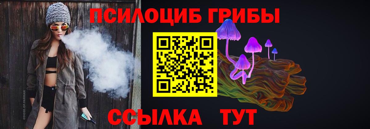 Галлюциногенные грибы прущие грибы  Псилоцибиновые грибы Cubensis  Вход с VPN  Сальск 
