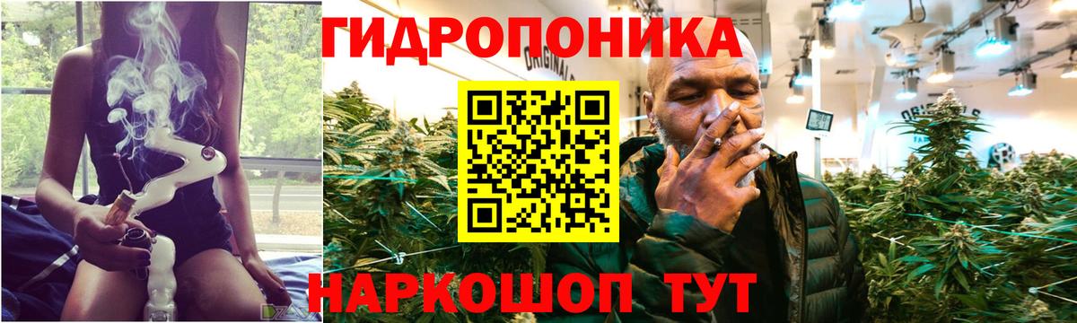 Сальск  Бошки марихуана семена  Вход с VPN  МАРИХУАНА индика 